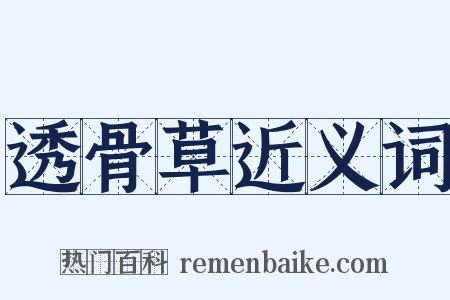 透骨草近义词是什么意思的图片